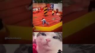 #memes #cat #funny #sad #gato #explore #viralvideo #trending #edit #trollface