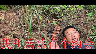 2022 第290期 带着八旬奶奶进山采蘑菇，发现的蘑菇群都给奶奶采，让她过过手瘾