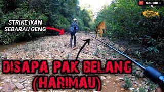 Memancing & disapa sang raja rimba harimau - CasterDiary#27