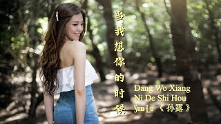 Dang Wo Xiang Ni De Shi Hou《 当我想你的时候 》When I Miss You  ---  Sun Lu 《 孙露 》