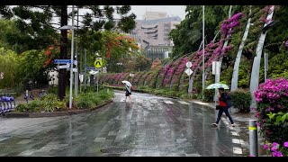 Relaxing Walk in the Rain, Umbrella and  Sounds for Sleep and Relaxation | 4k .Brisbane, Australia,