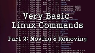 Copy, Move, and Delete in the Linux Terminal (cp, mv & rm) - Very Basic!