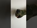 Тактичні рукавички без пальців gloves hf 1 в кольорі олива