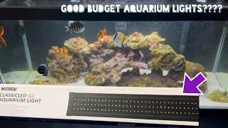 Don’t Go EXPENSIVE!!!! Budget  REEF TANK Lighting Review!! (NiCrew Gen 2)