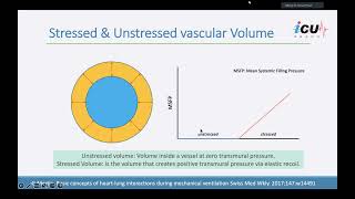 Basic Physiology in Hemodynamics