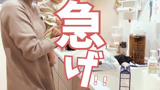 【誕生日準備】やっぱり今年もバタバタした人の様子｜4児ママ/アラサー主婦/誕生日/夕飯/作業動画