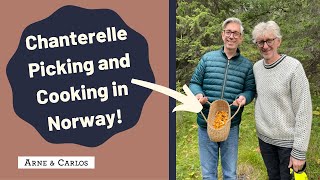 How to find and cook delicious chanterelles with ARNE \u0026 CARLOS - Autumn in Norway