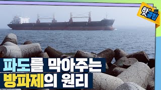 [핫클립] 방파제 모형의 원리 / YTN 사이언스