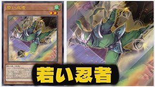 【遊戯王ADS】新カード『 若い忍者 』 ダークウィング・ブラスト