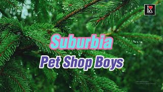 Pet Shop Boys - Suburbia [Karaoke New Wave HD]