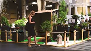 Bonsai Garden created at RHS at Plant and Art Show