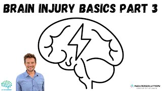 Brain Injury Basics: Brainstem Basics 2025