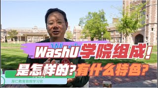 第587期  WashU学院的组成是怎样的？有什么特色？