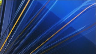 Over 50 animals removed in Bulloch County raid