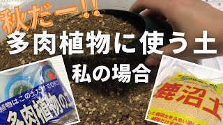 多肉植物に使う土（私の場合）｜Soil for Succulents