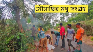 যেভাবে মধু সংগ্রহ করা হয় মৌচাক থেকে - গ্রামে মৌচাক কাটার দৃশ্য - Honey Collection