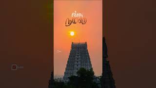 என்றும் உன்னையே நம்பி வாழுவோம் அண்ணாமலையானே#lord_shiva_11 #love #om #siva #sivan #shorts #short