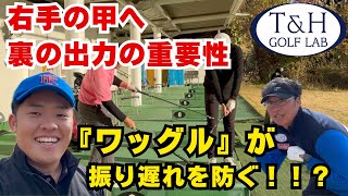 【下回りスイング】超大事！年末年始はワッグルでスタートダッシュ