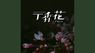 丁香花 (DJ版)