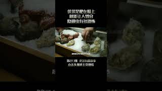 Pt2/3 8个月大婴儿眼里，竟取出8条活虫，寄生虫入侵之后有多恐怖【西风探瘦马】#shorts