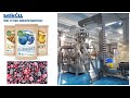 Premade Bag Frozen Fruits Packing Machine,Rotary Packaging Machine Automatic