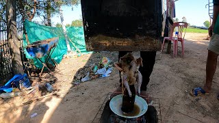 ไก่อบปี๊บสูตรใหม่ ไม่ต้องใช้ฟางอีกต่อไป