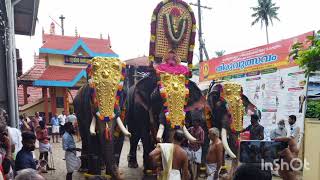 പകൽപൂര०! പെരുമ്പാവൂർ ശ്രീധർമ്മശാസ്താ ക്ഷേത്രത്തിലെ തിരുവുൽസവ०.