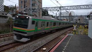 横須賀線 保土ヶ谷駅を通過する上野東京ラインの車両達【ジョイント音】