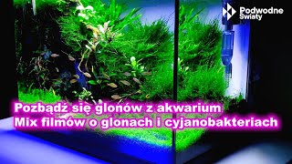 Pozbądź się glonów. Mix filmów o glonach