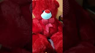 red colour teddy bear🧸🐻