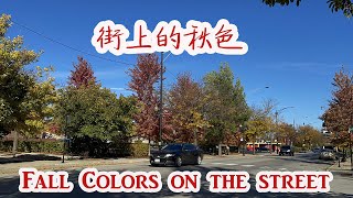 autumn colors, fall colors, 秋天的色彩, 金秋十月, October golden colors 35th st