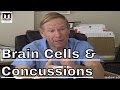What Happens To Brain Cells In A Concussion - Are helmets a solution?
