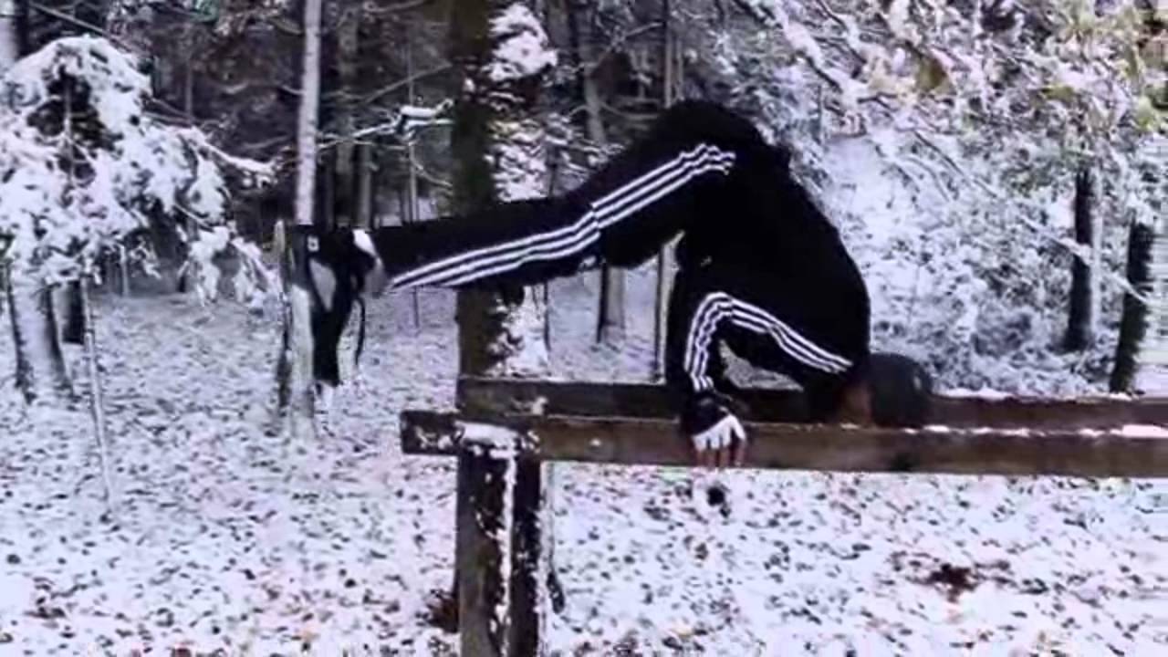 Workout Motivation Never Give Up Youtube