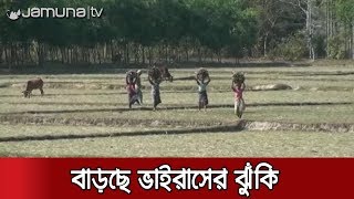 করোনা আতঙ্কের মাঝে থামেনি সীমান্তে চোরাচালান! | Jamuna TV