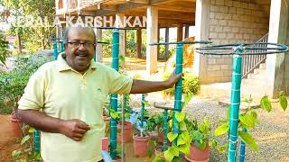 നാട്ടിലെ നാടൻ കർഷകൻ.Black pepper farming.kerala karshakan#farming#blackpepper#blackpepperbenefits