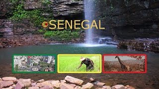 Bienvenue au Sénégal, un pays magnifique !