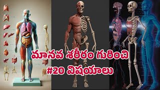 మానవ శరీరం గురించి కొన్ని విషయాలు #facts #interestingfacts #telugu #viralvideo #youtubeshorts