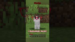 Minecraft, But I'm A Cat