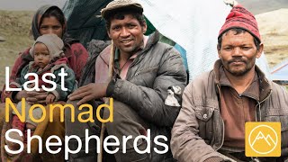 The Last Nomad Shepherds of the Himalayas | Short Documentary Nepal