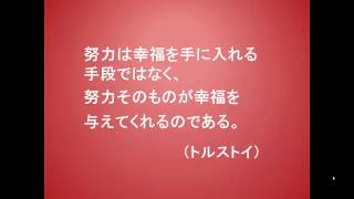 こころに火を灯す言葉２７（9-10トルストイ）