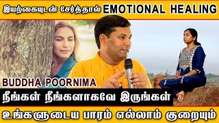 ☘இயற்கையுடன் சேர்த்தால் Emotional Healing🌺 Buddha Purnima || #meditation #pmctamil #meditationmusic