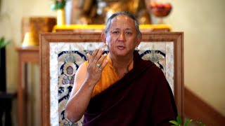 Dzigar Kongtrul Rinpoche  Peace Comes with Sacrifice