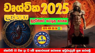 වෘශ්චික ලග්නය 2025 ලග්න පලාඵල New Year 2025 Wrushchika Lagna Palapala Sri Anjana Jothishya ♏︎