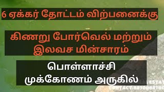 #402 || 6ஏக்கர் தோட்டம் விற்பனைக்கு உடுமலைப்பேட்டை வழி பொள்ளாச்சி ரோடு மிக அருகில்.