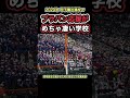 【吹奏楽が超一流の甲子園出場校５選】野球もブラバンも最強の高校！#プロ野球 #高校野球 #甲子園 #吹奏楽 #演奏