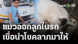 ฮือฮา! แมวออกลูกในรถ เชื่อนำโชคลาภมาให้ | 22 ม.ค. 67 | ห้องข่าวหัวเขียว