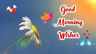 Latest Good Morning wishes, SMS, greetings, Whatsapp Video message