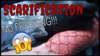 Scarification of Scales NO FREEZING!!