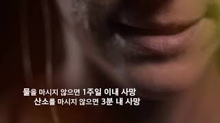 고농축 고용량 산소캡슐