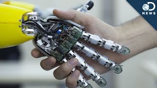Why You Shouldn T Fear Artificial Intelligence